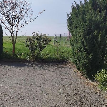 Вілла Gite La Metairie, Au Calme A La Campagne Saint-Seurin-de-Palenne Екстер'єр фото